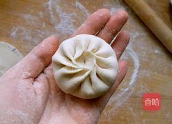 馅饼（猪肉大葱馅）的做法图解9