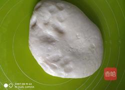 玫瑰鲜花饼的做法图解12