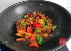 红烧鸡块的做法图解9