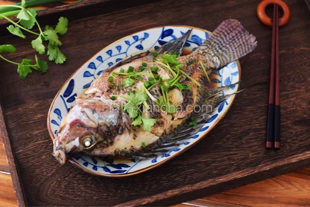 【正月十五闹元宵】家常清蒸罗非鱼