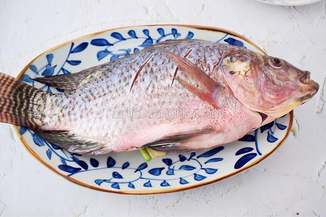 再把腌制好的鱼放上去