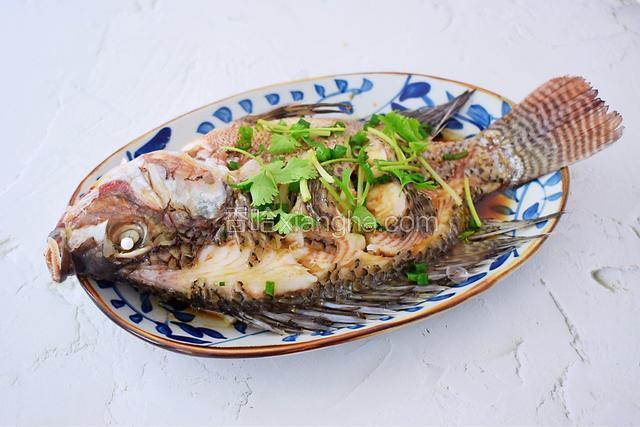 最后撒上葱花和香菜即可