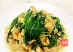 （正月十五闹元宵）豌豆尖炒鸡蛋的做法图解9