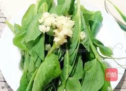 （正月十五闹元宵）豌豆尖炒鸡蛋的做法图解5