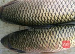 麻辣鱼的做法图解1