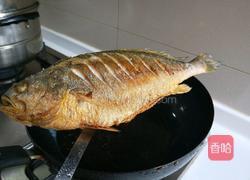 正月十五闹元宵 红烧黄花鱼的做法图解7