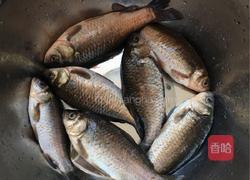 重庆酸萝卜鲫鱼的做法图解2