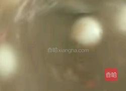 葛粉汤圆的做法图解7