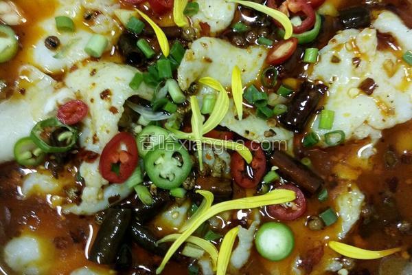 麻辣藤椒沸腾鱼