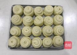 椰蓉小面包的做法图解11