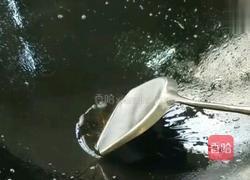 面条配菜的做法图解3