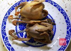 红枣枸杞乳鸽汤的做法图解4