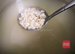 养生板栗薏米粥的做法图解5