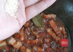 经典红烧肉的做法图解12