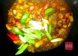 黄焖鸡的做法图解7