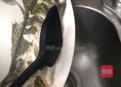清蒸鲈鱼的做法图解4