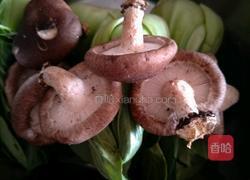 青菜香菇猪肉包的做法图解2