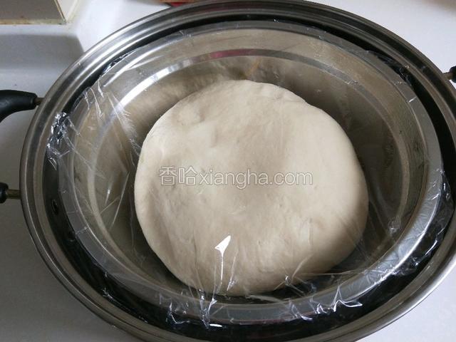 合成光滑的面团发。