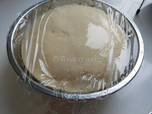 发好的面团满盆了。