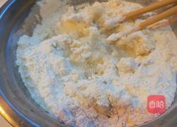 新文美食 四喜蒸饺的做法图解8