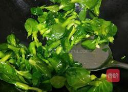 青菜疙瘩面汤的做法图解5