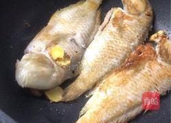 潮汕香煎鹦哥鱼的做法图解4