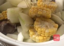 冬瓜玉米排骨汤的做法图解7