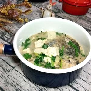 鲤鱼豆腐汤