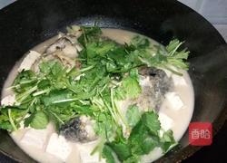 鲤鱼豆腐汤的做法图解5