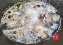 虫草花鸡汤的做法图解4