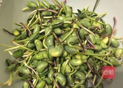 腊肠炒豆芽的做法图解1