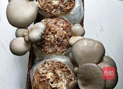 黑平菇炒香干的做法图解1