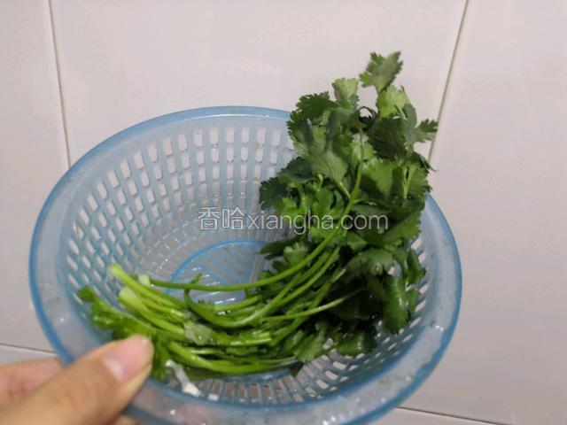 蚝洗净沥干，香菜洗净沥干，放在一边。