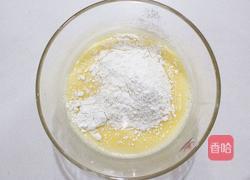 水果鸡肉披萨的做法图解3