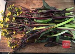 清炒菜苔的做法图解1