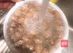 菠萝蜜核（椒盐）的做法图解6