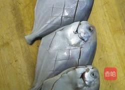 红烧大晶鱼的做法图解3