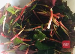 凉拌折耳根的做法图解1