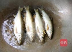 红烧刁子鱼的做法图解5