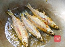 红烧刁子鱼的做法图解6