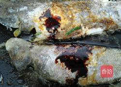 红烧舌鳎鱼的做法图解6