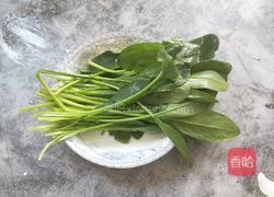 菠菜面的做法图解2