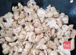 胡萝卜煲肥肠的做法图解6