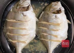  清蒸金鲳鱼的做法图解4