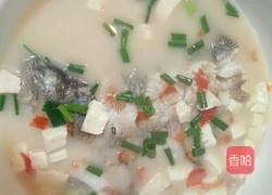 清炖鲈鱼豆腐汤的做法图解10