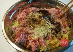 新文美食 酸菜猪肉包子的做法图解5