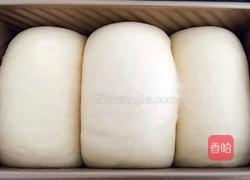 汤种葡萄干吐司的做法图解17