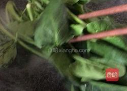 《蒸菜》菠菜蒸鸡蛋的做法图解1