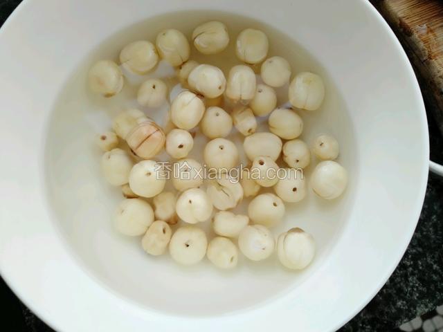 莲子提前泡发
