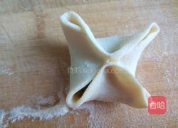 花开四季 蔬菜虾仁蒸饺的做法图解9